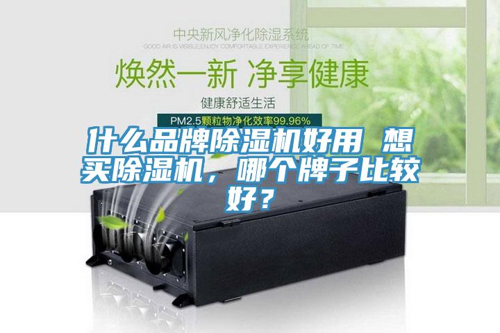 什么品牌除濕機好用 想買除濕機,哪個牌子比較好?