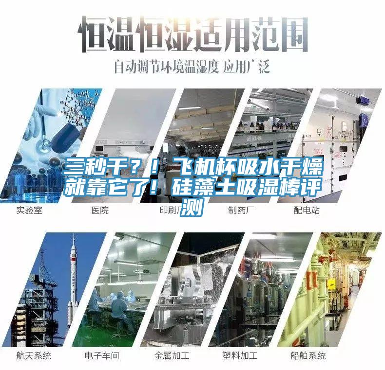 三秒干？! 飛機杯吸水干燥就靠它了! 硅藻土吸濕棒評測