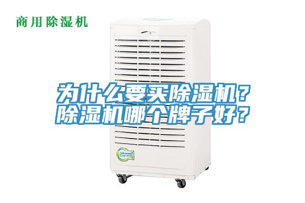 為什么要買除濕機?除濕機哪個牌子好?