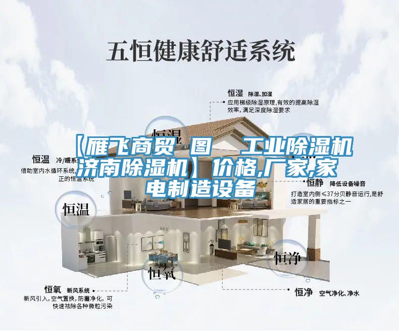 【雁飛商貿 圖 工業(yè)除濕機 濟南除濕機】價格,廠家,家電制造設備