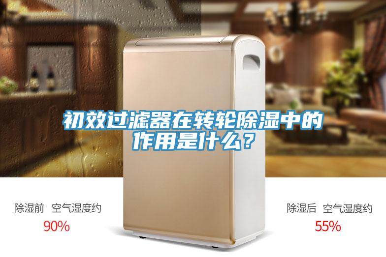 初效過濾器在轉輪除濕中的作用是什么?