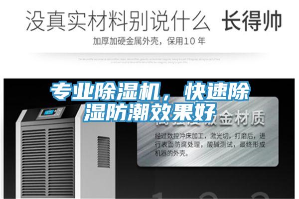 專業(yè)除濕機,快速除濕防潮效果好