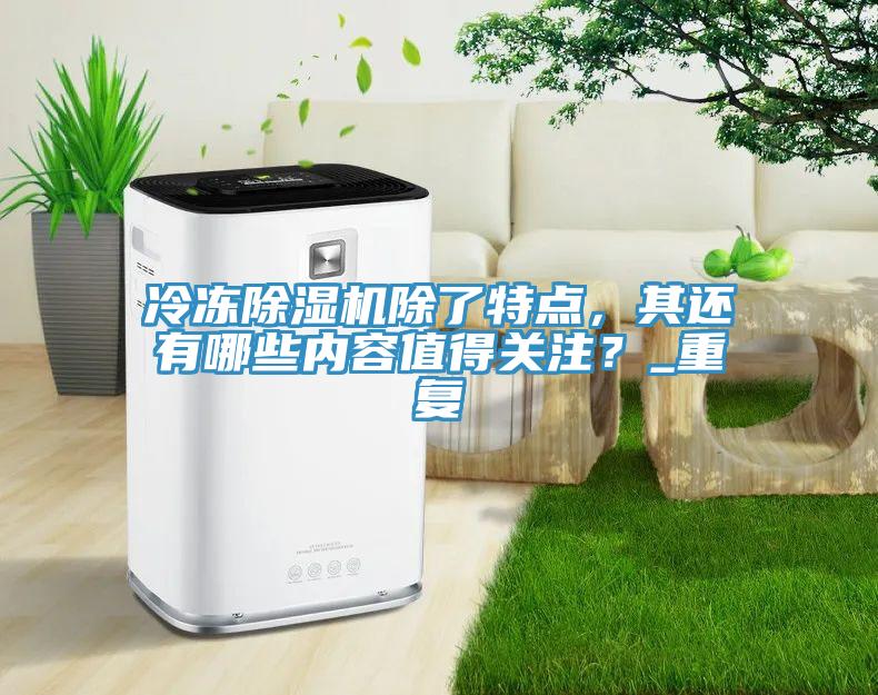 冷凍除濕機除了特點,其還有哪些內容值得關注?_重復