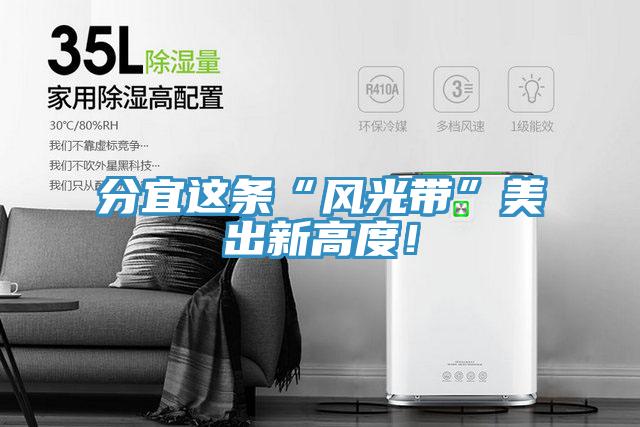 分宜這條“風光帶”美出新高度!