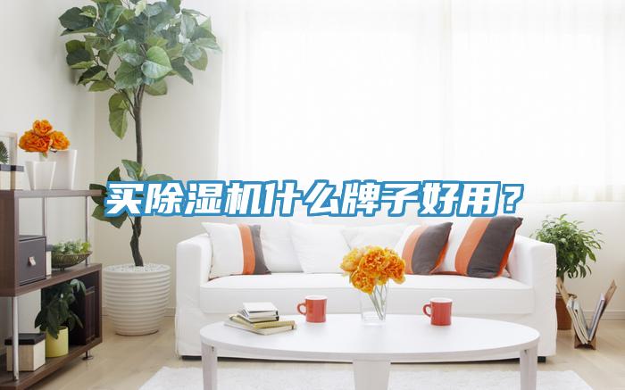 買除濕機什么牌子好用?
