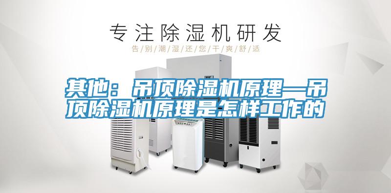 其他:吊頂除濕機原理—吊頂除濕機原理是怎樣工作的
