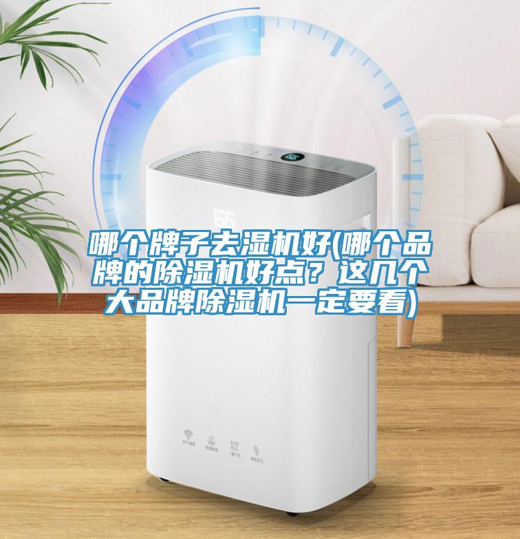哪個牌子去濕機好(哪個品牌的除濕機好點?這幾個大品牌除濕機一定要看)