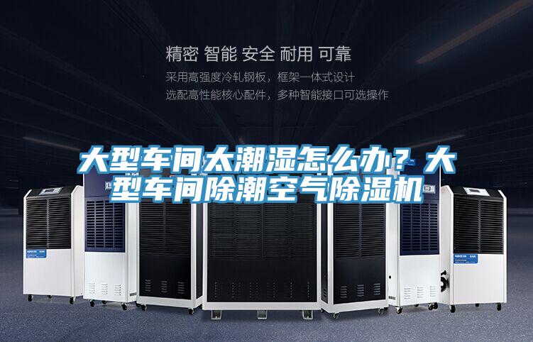 大型車間太潮濕怎么辦？大型車間除潮空氣除濕機