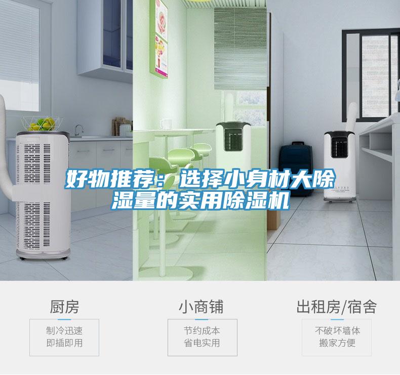 好物推薦:選擇小身材大除濕量的實用除濕機
