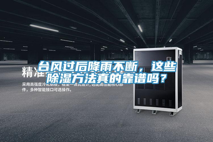 臺風過后降雨不斷,這些除濕方法真的靠譜嗎?
