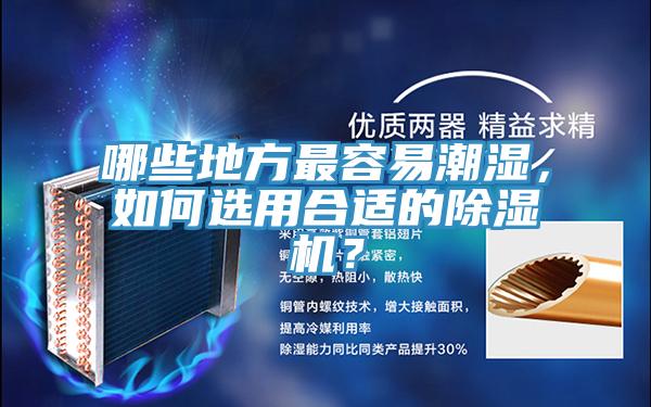 哪些地方最容易潮濕,如何選用合適的除濕機?