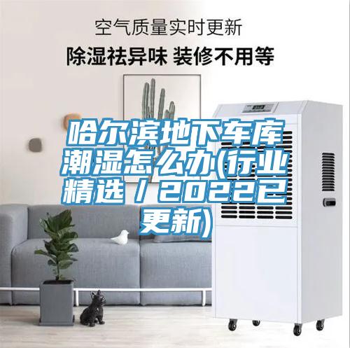 哈爾濱地下車庫潮濕怎么辦(行業(yè)精選/2022已更新)