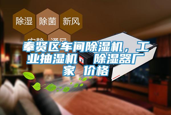 奉賢區(qū)車間除濕機,工業(yè)抽濕機 除濕器廠家 價格
