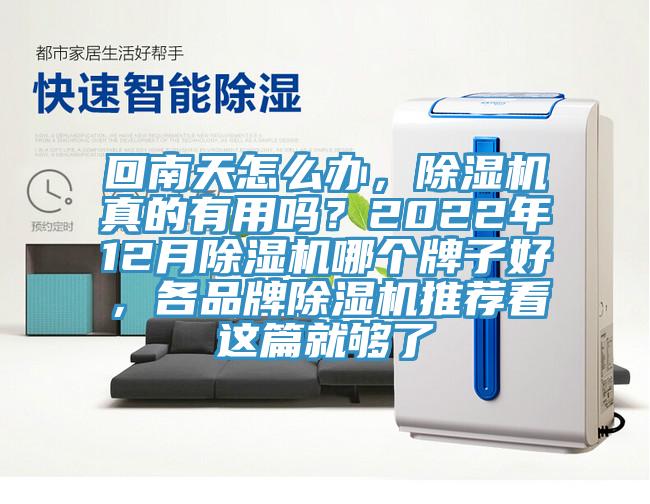 回南天怎么辦,除濕機真的有用嗎?2022年12月除濕機哪個牌子好,各品牌除濕機推薦看這篇就夠了