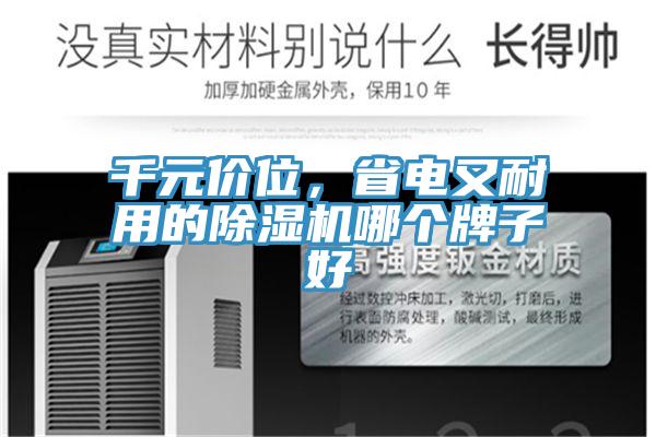 千元價(jià)位,省電又耐用的除濕機(jī)哪個牌子好