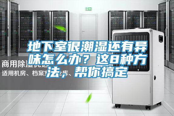 地下室很潮濕還有異味怎么辦？這8種方法，幫你搞定