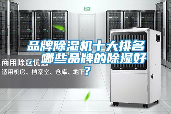 品牌除濕機十大排名,哪些品牌的除濕好?