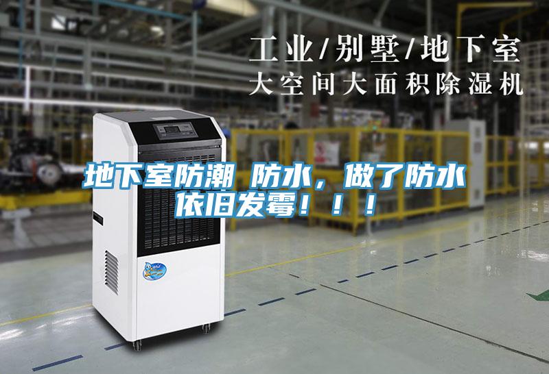 地下室防潮≠防水,做了防水依舊發霉!!!