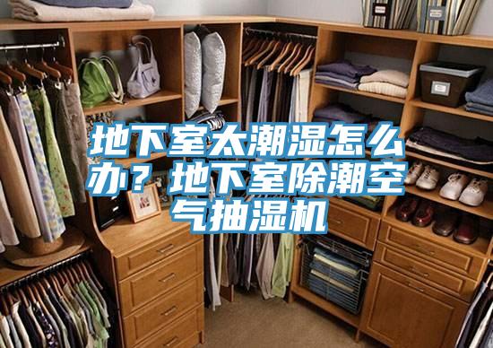 地下室太潮濕怎么辦？地下室除潮空氣抽濕機