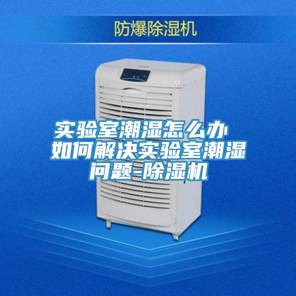 實(shí)驗室潮濕怎么辦 如何解決實(shí)驗室潮濕問題-除濕機(jī)