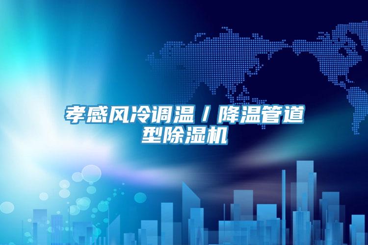 孝感風冷調溫/降溫管道型除濕機