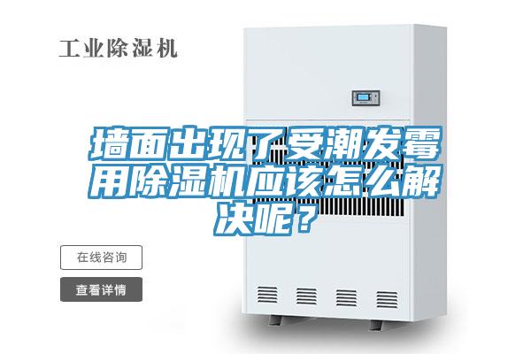 墻面出現了受潮發霉用除濕機應該怎么解決呢？