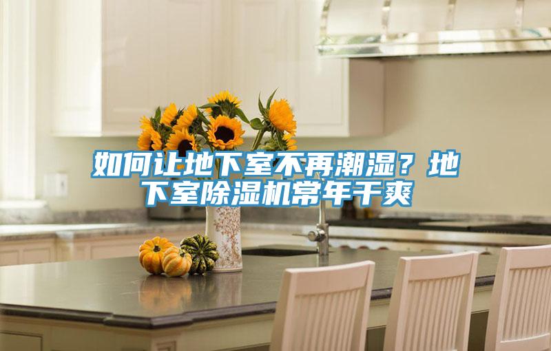 如何讓地下室不再潮濕？地下室除濕機常年干爽