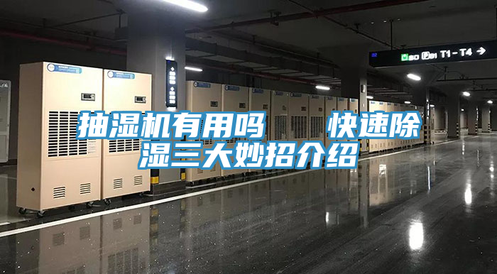 抽濕機(jī)有用嗎 快速除濕三大妙招介紹