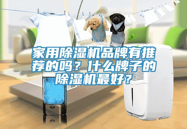 家用除濕機(jī)品牌有推薦的嗎？什么牌子的除濕機(jī)最好？