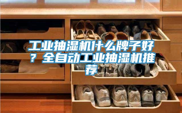 工業(yè)抽濕機(jī)什么牌子好?全自動(dòng)工業(yè)抽濕機(jī)推薦