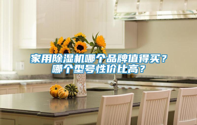 家用除濕機(jī)哪個(gè)品牌值得買？哪個(gè)型號性價(jià)比高？