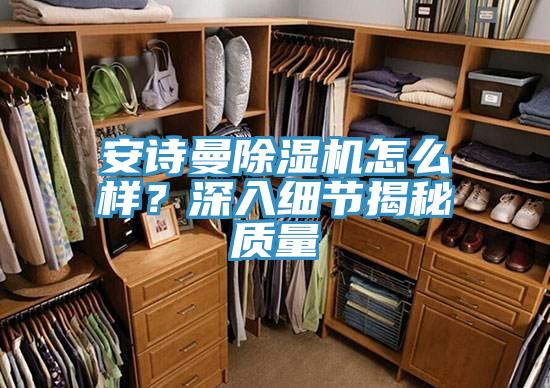 安詩(shī)曼除濕機(jī)怎么樣?深入細(xì)節(jié)揭秘質(zhì)量