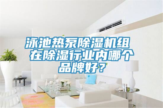 泳池熱泵除濕機組 在除濕行業內哪個品牌好?
