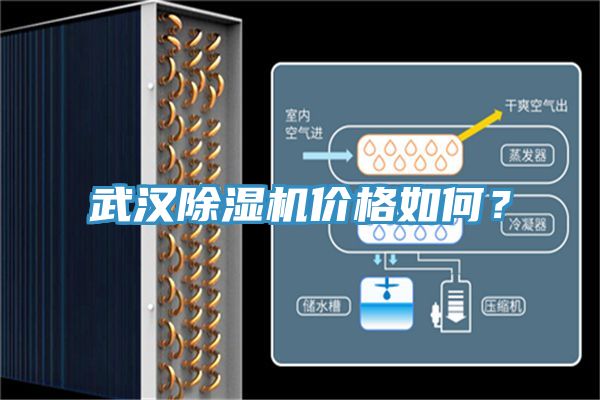 武漢除濕機價格如何?