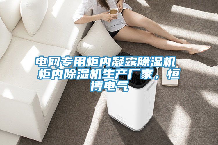 電網專用柜內凝露除濕機 柜內除濕機生產廠家,恒博電氣