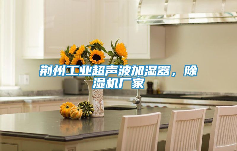 荊州工業超聲波加濕器,除濕機廠家