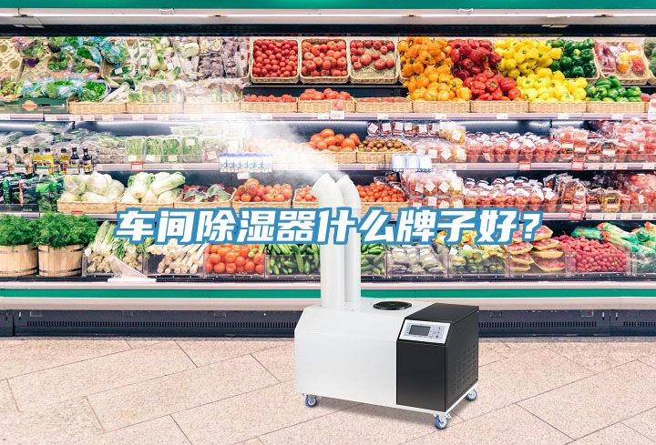車間除濕器什么牌子好?