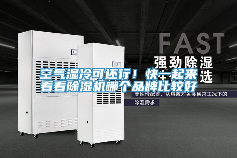 空氣濕冷可還行!快一起來看看除濕機哪個品牌比較好