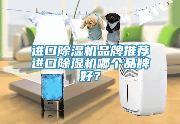 進口除濕機品牌推薦進口除濕機哪個品牌好?