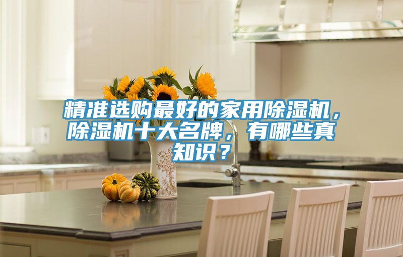 精準選購最好的家用除濕機，除濕機十大名牌，有哪些真知識？