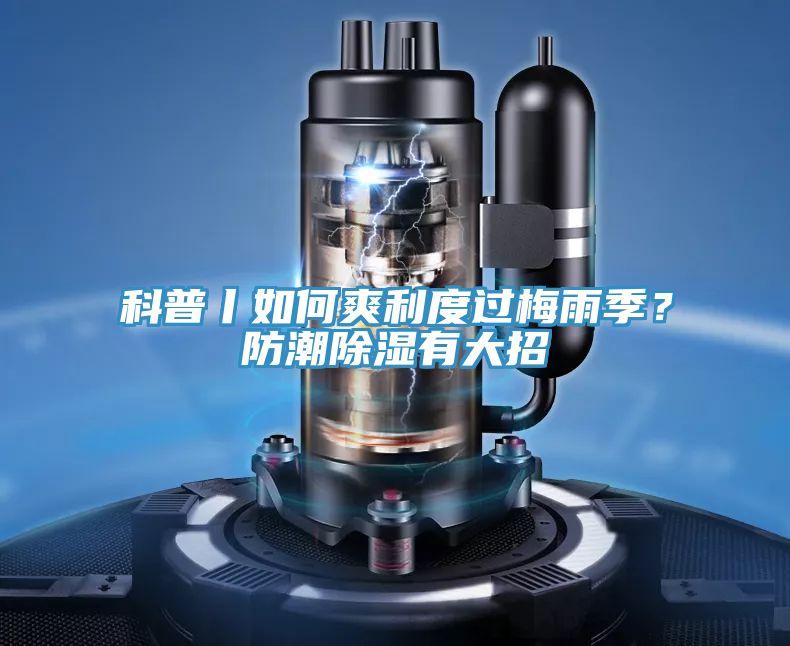 科普丨如何爽利度過(guò)梅雨季?防潮除濕有大招