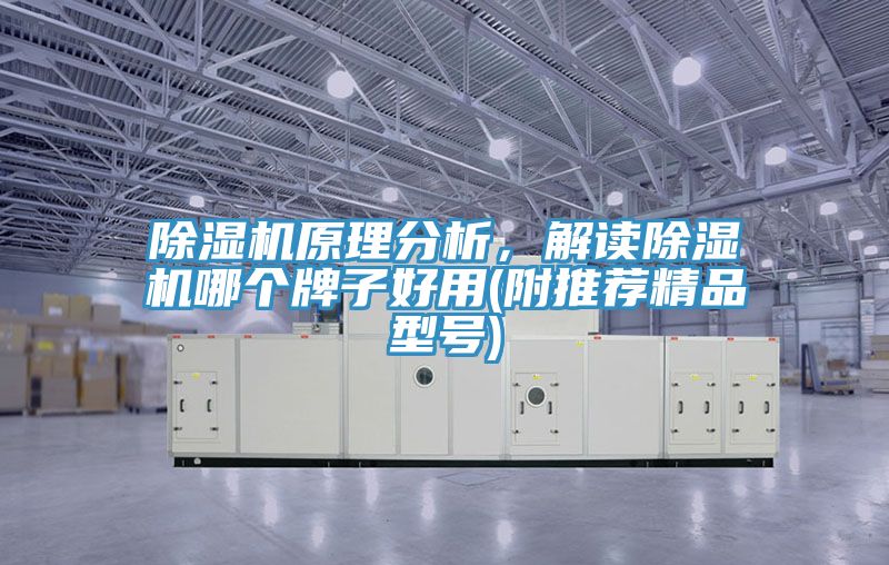 除濕機(jī)原理分析,解讀除濕機(jī)哪個(gè)牌子好用(附推薦精品型號(hào))