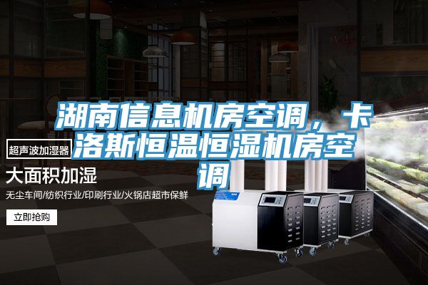 湖南信息機房空調，卡洛斯恒溫恒濕機房空調