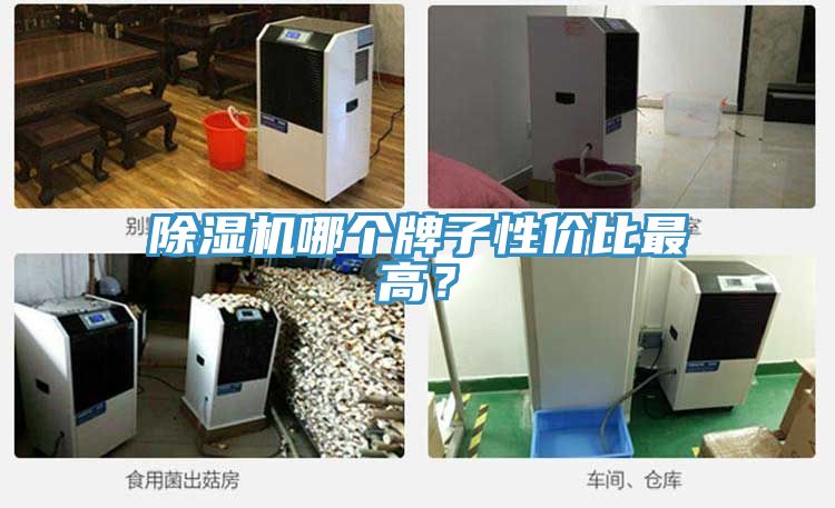 除濕機(jī)哪個(gè)牌子性?xún)r(jià)比最高?