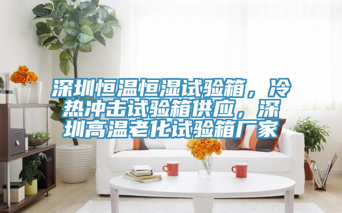 深圳恒溫恒濕試驗箱，冷熱沖擊試驗箱供應(yīng)，深圳高溫老化試驗箱廠家