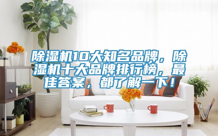 除濕機10大知名品牌,除濕機十大品牌排行榜,最佳答案,都了解一下!