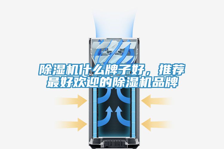 除濕機什么牌子好,推薦最好歡迎的除濕機品牌
