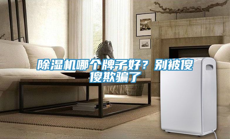 除濕機(jī)哪個(gè)牌子好?別被傻傻欺騙了