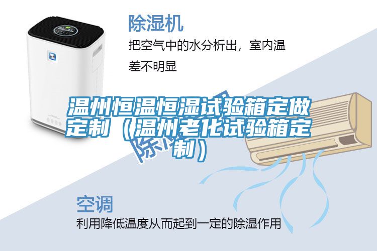 溫州恒溫恒濕試驗箱定做定制(溫州老化試驗箱定制)