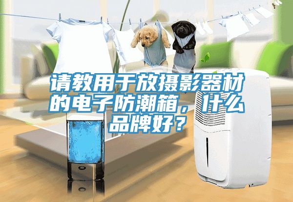 請教用于放攝影器材的電子防潮箱，什么品牌好？